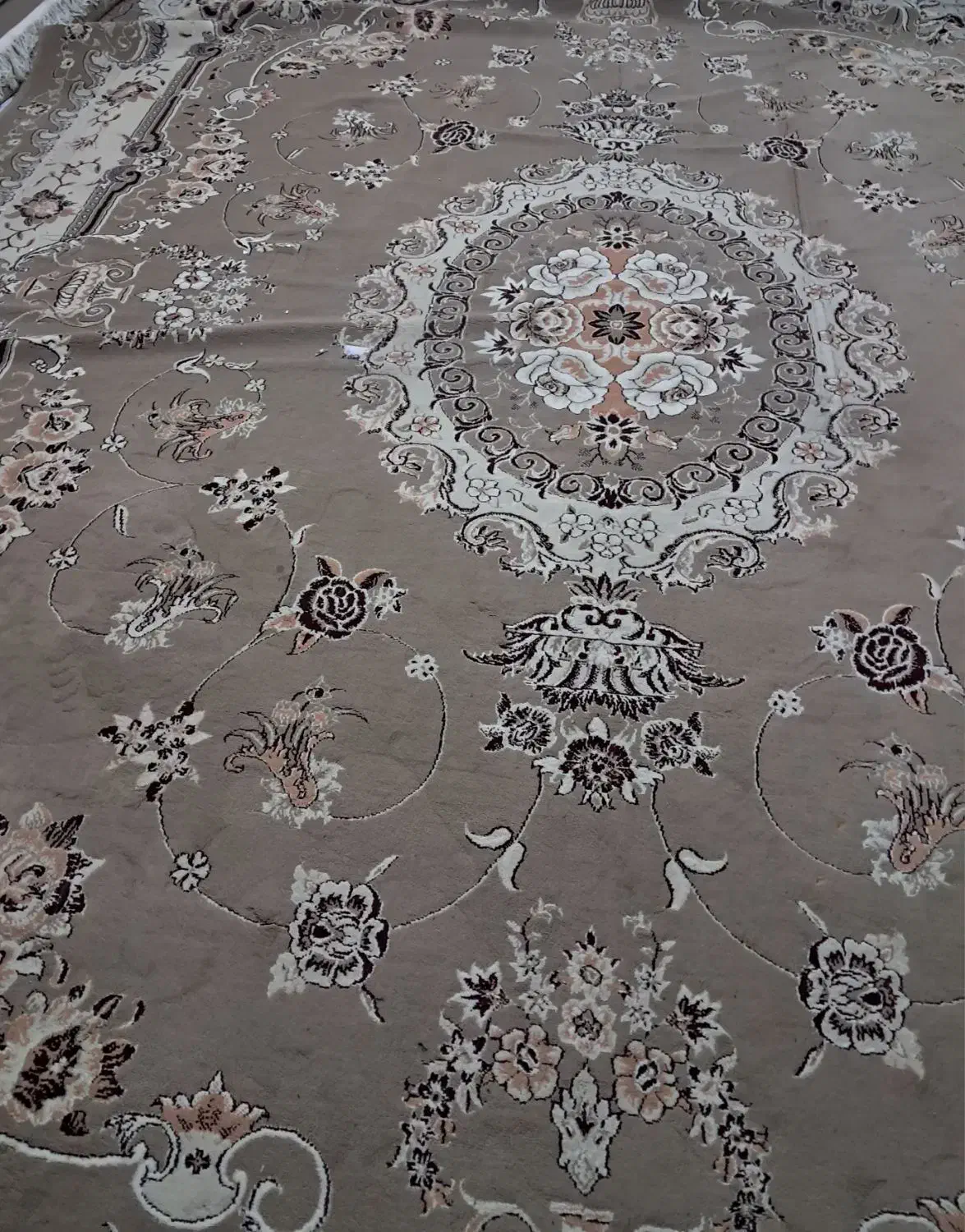 قالی ۳در۴|فرش|بجنورد, |دیوار