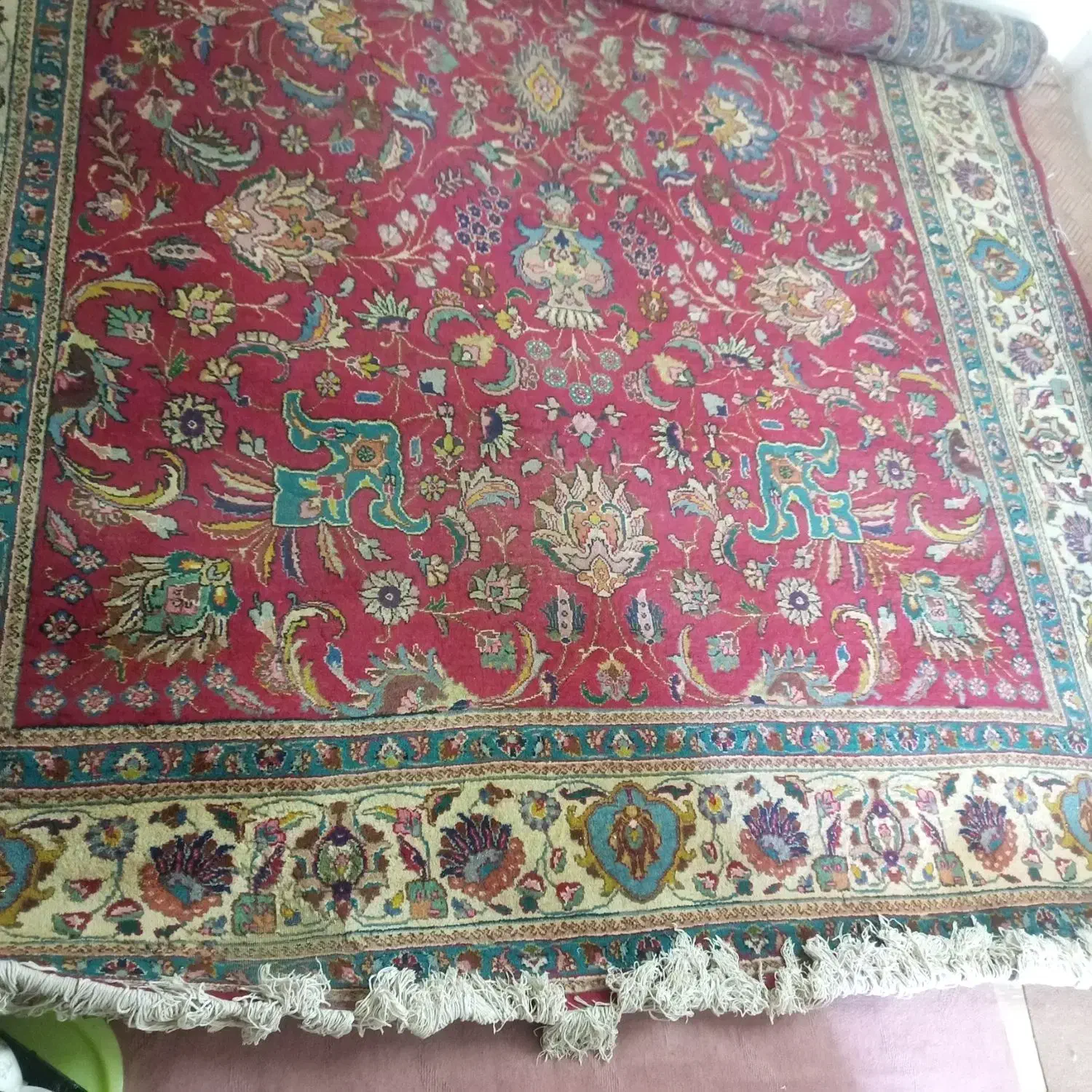 فرش دست باف|فرش|مینودشت, |دیوار