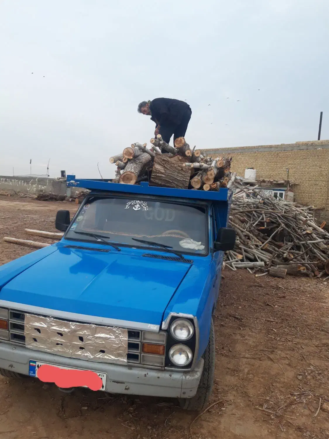 خریدار چوب|خدمات باغبانی و درختکاری|قروه, |دیوار