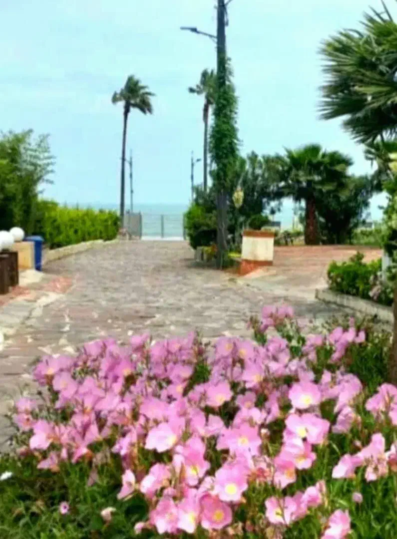 ویلا ساحلی  دریا بیشه تهاتر  با تهران کرج|فروش خانه و ویلا|رویان, |دیوار