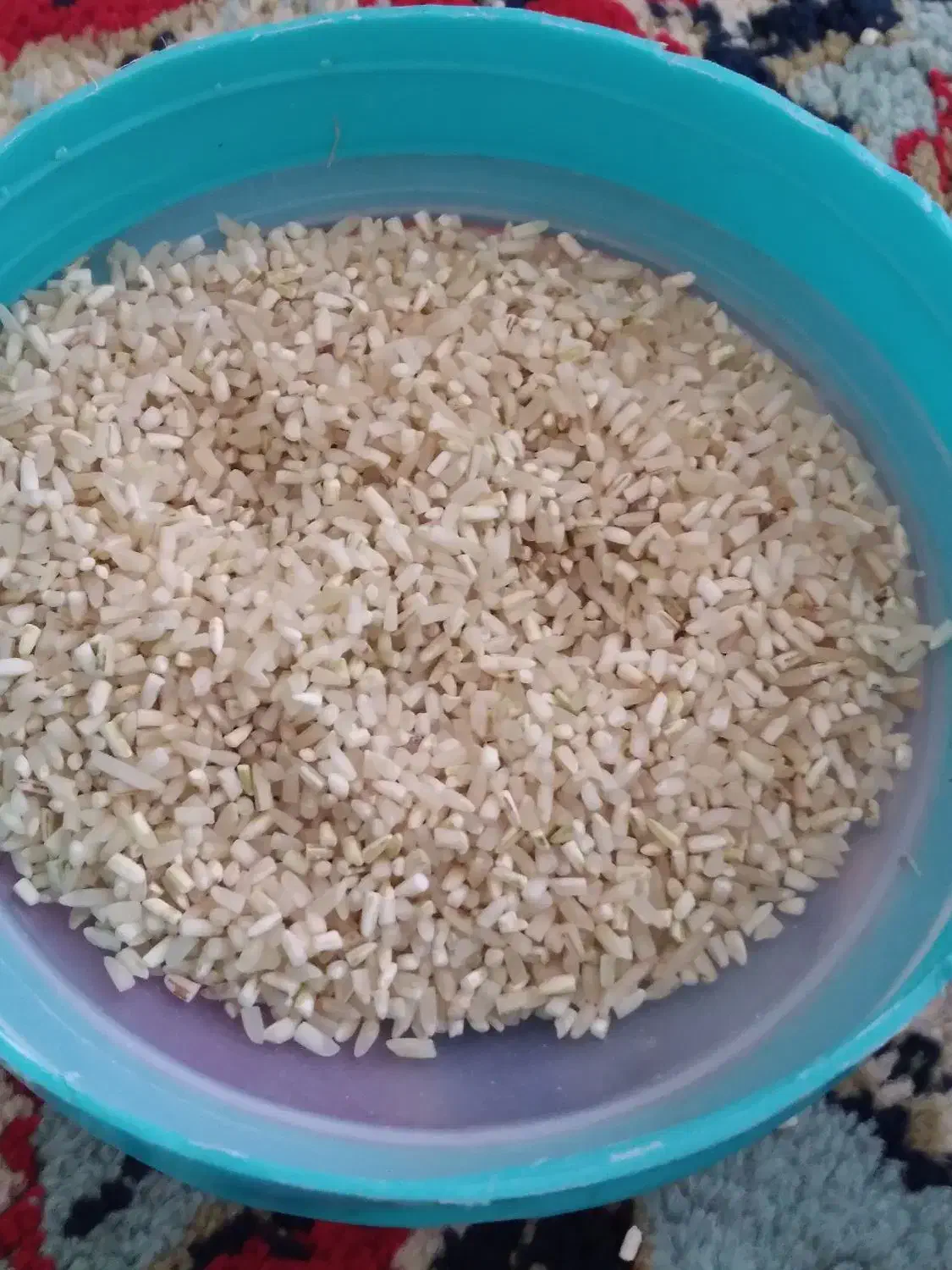 فروش عمده برنج  عنبربو وهاشمی درجه یک|خوردنی و آشامیدنی|سیروان, |دیوار