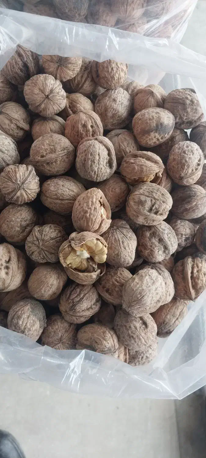 برنج پاکستانی وبرنج ایرانی|خوردنی و آشامیدنی|بجنورد, |دیوار