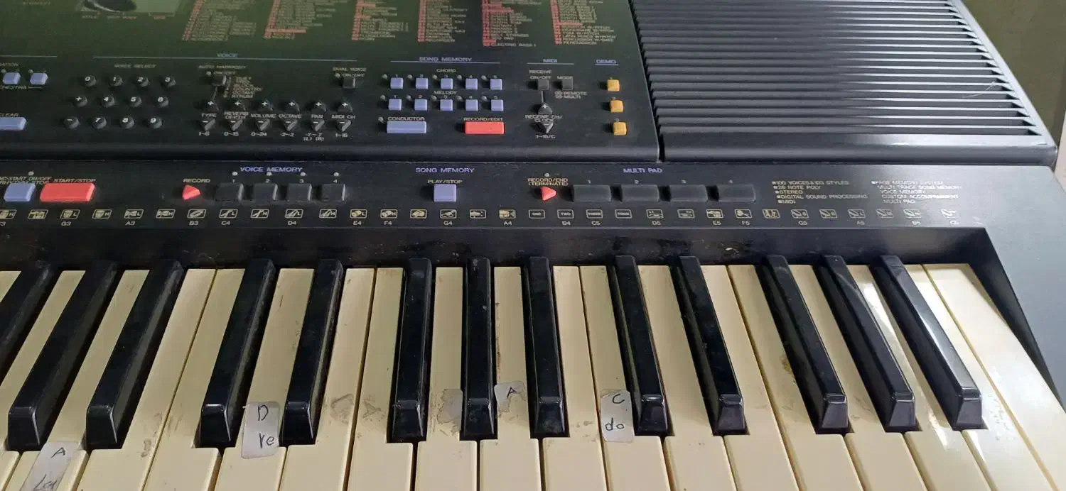 ارگ آموزشی|پیانو، کیبورد، آکاردئون|دورود, |دیوار