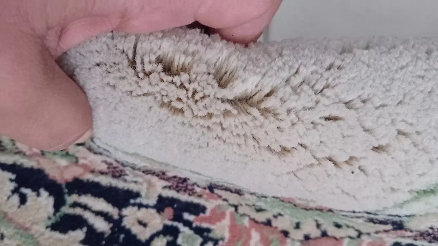 فرش ۱۲متری تمام نخ ۷۰۰شانه بخاری گازی|فرش|گلبهار, شهر جدید گلبهار|دیوار