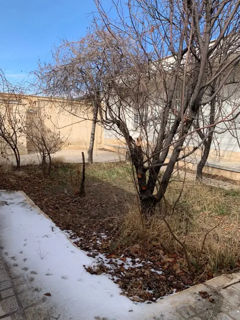 فروش خانه ویلایی(تاکستان-قزوین)|فروش خانه و ویلا|ضیاء آباد, |دیوار