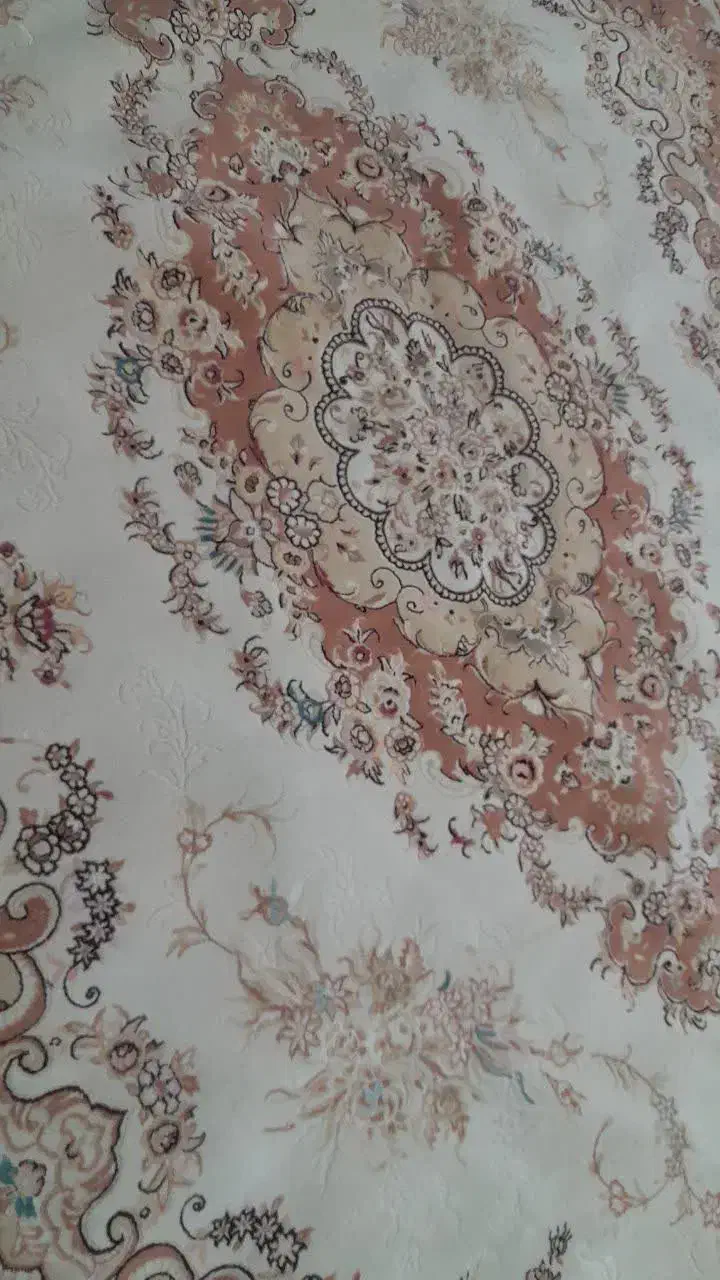 فروش انواع فرش در حد نو|فرش|اسفراین, |دیوار