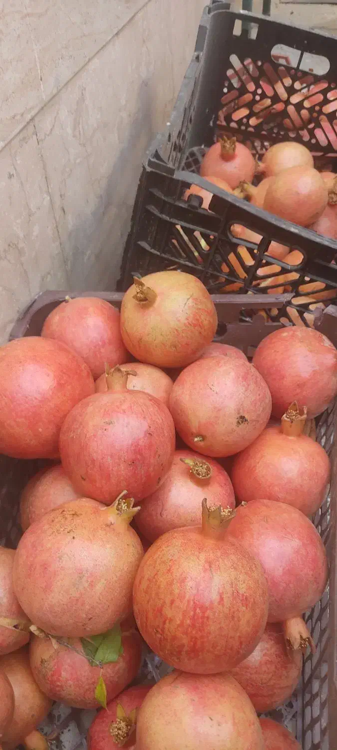 فروش انار درجه یک 7تن|خوردنی و آشامیدنی|کوهنانی, |دیوار