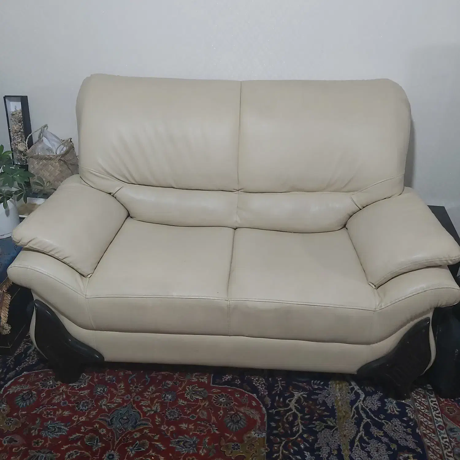 مبل ۷ نفره چرمی|مبلمان خانگی و میز عسلی|شیراز, باغ تخت|دیوار
