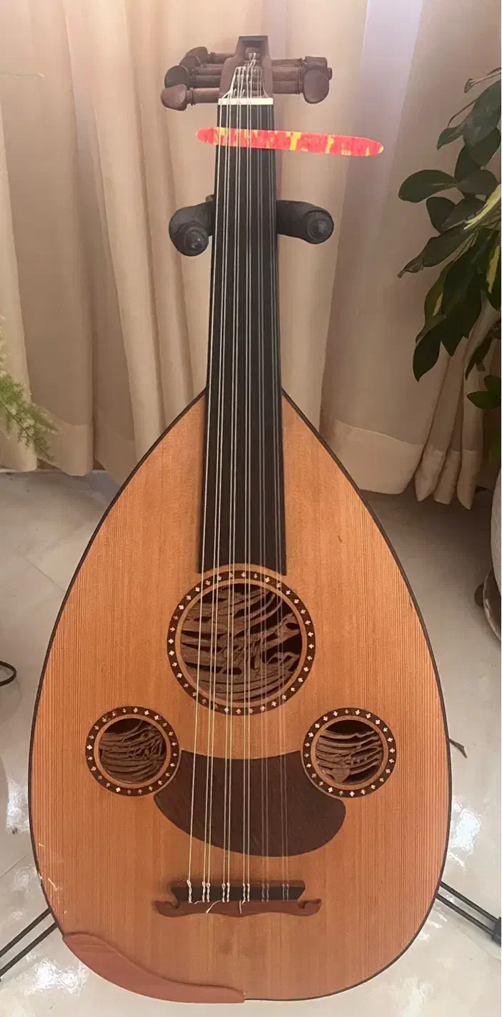 ساز عود حرفه ای موسوی ( کلیکسیونی)|سازهای سنتی|آمل, |دیوار