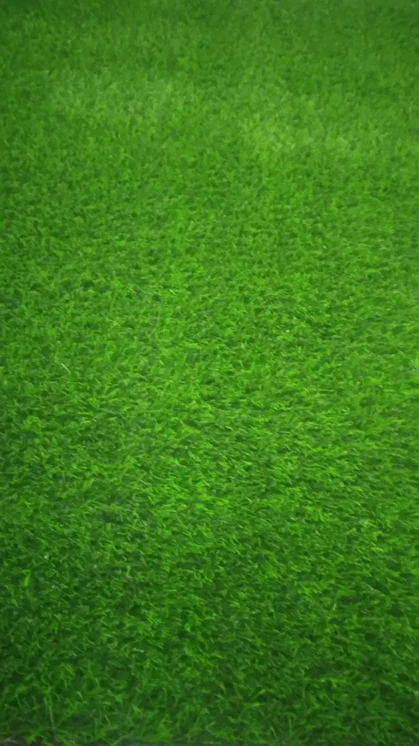 چمن مصنوعی|گل مصنوعی|ایذه, |دیوار