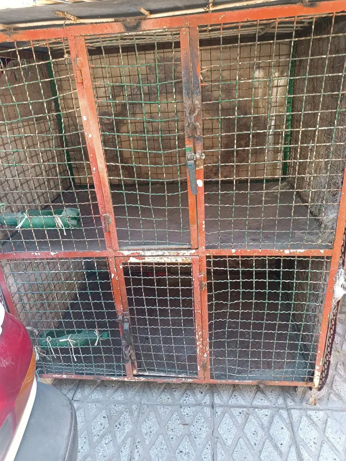 دوعددقفس آهنی جای مرغ|لوازم جانبی حیوانات|کرمانشاه, |دیوار