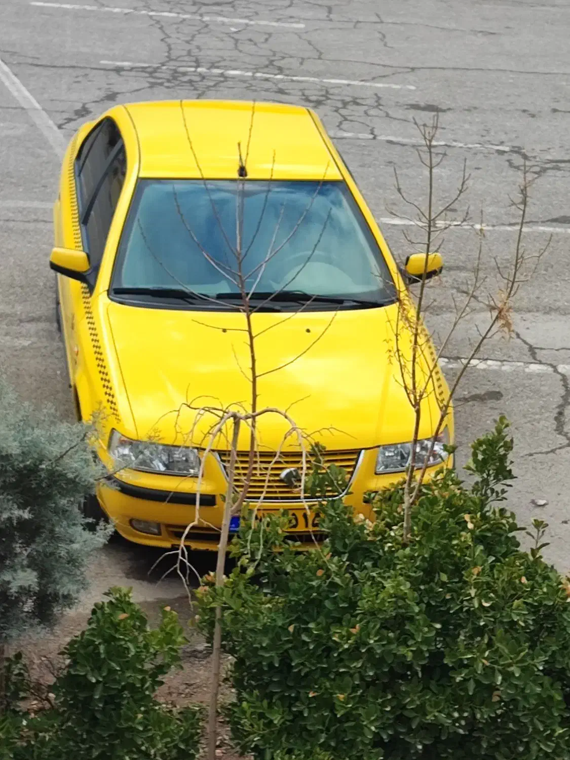 تاکسی سمند ef7مدل1401|خودرو سواری و وانت|همدان, |دیوار