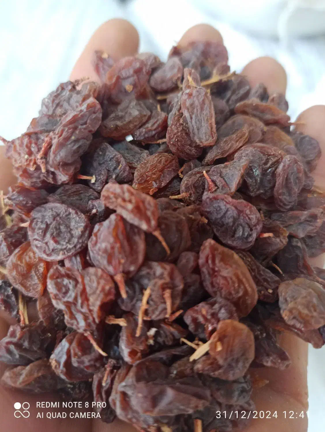 کشمش افتابی نقدی و چک|خوردنی و آشامیدنی|سامان, |دیوار