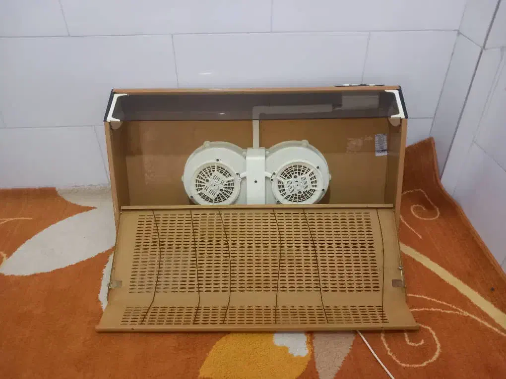 هود|هود|شوش, |دیوار