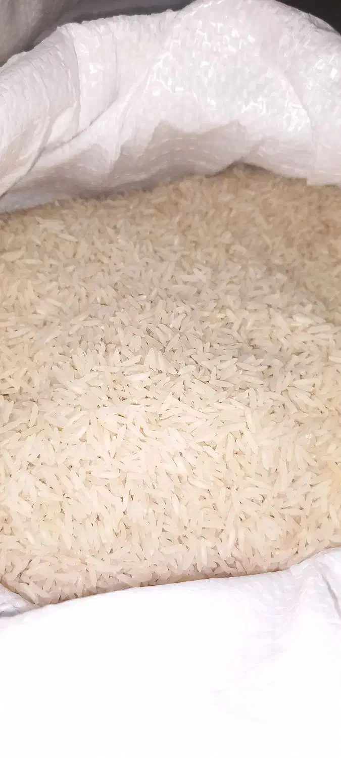 برنج فجرگرگان کیلویی ۱۷۰تومن|عمدهفروشی|چمستان, |دیوار