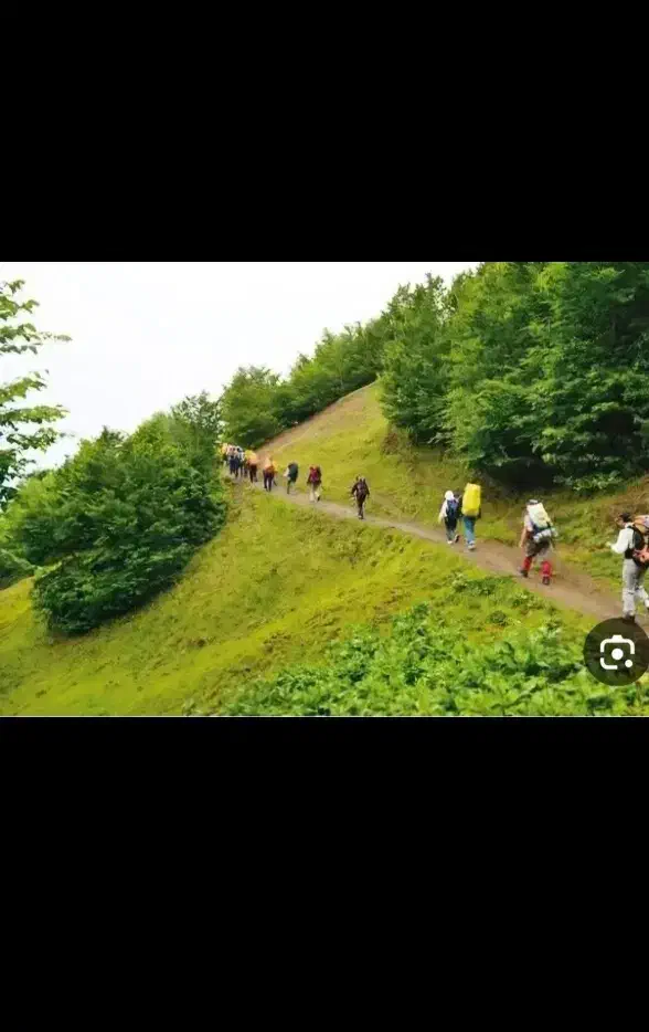 همسفر|فعالیت داوطلبانه تحقیقاتی|زاهدان, |دیوار