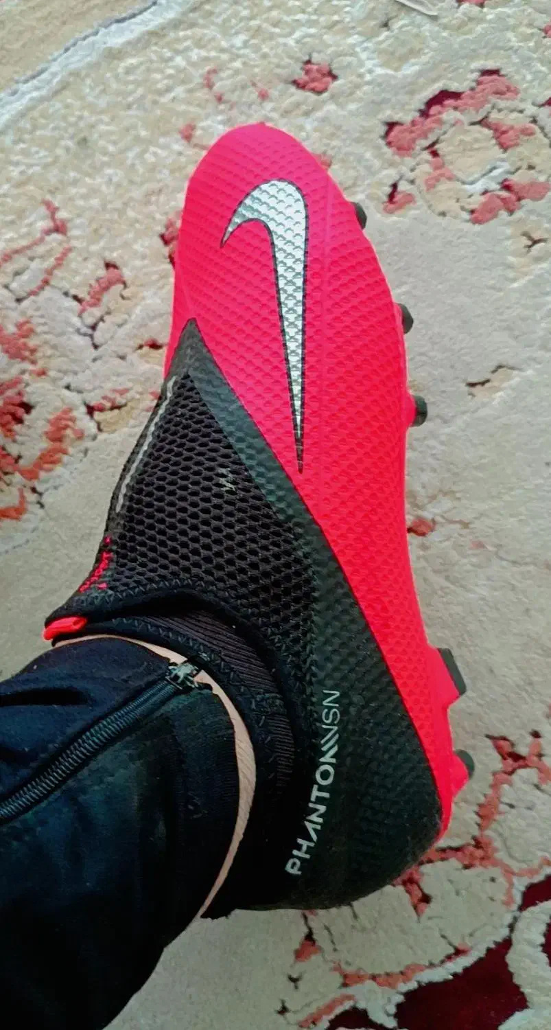 کفش|کیف، کفش، کمربند|لنده, |دیوار