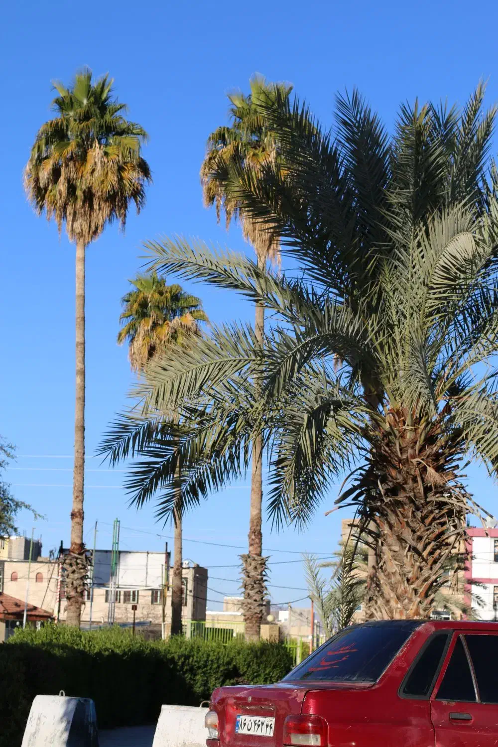 عکس با دوربین عکاسی|دوربین عکاسی و فیلم‌برداری|دهدشت, |دیوار