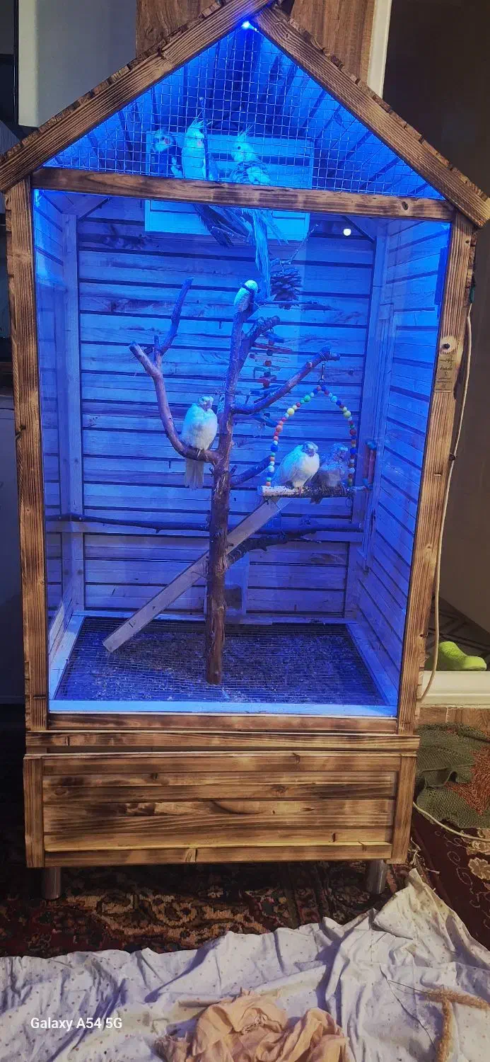 قفس چوبی پرنده|لوازم جانبی حیوانات|خوی, |دیوار