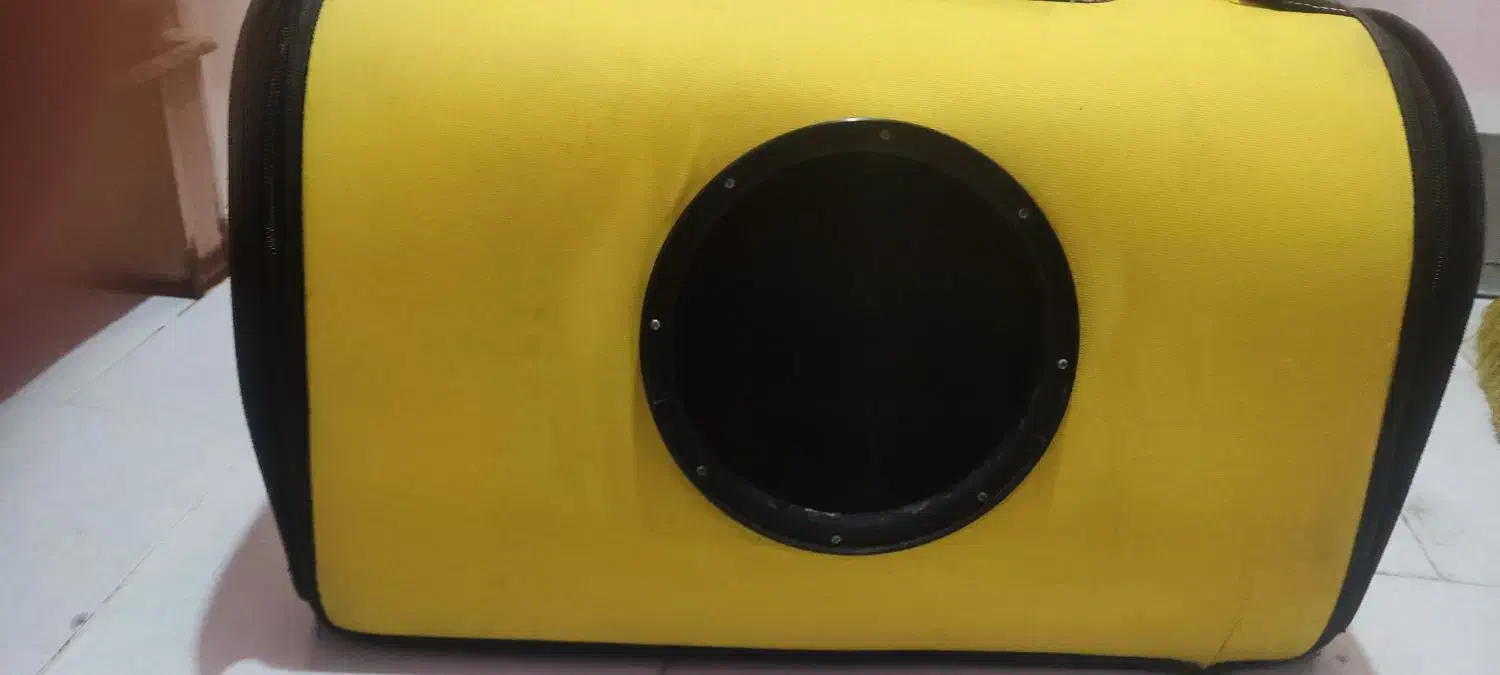 لونه گربه|لوازم جانبی حیوانات|شیراز, امام حسین|دیوار