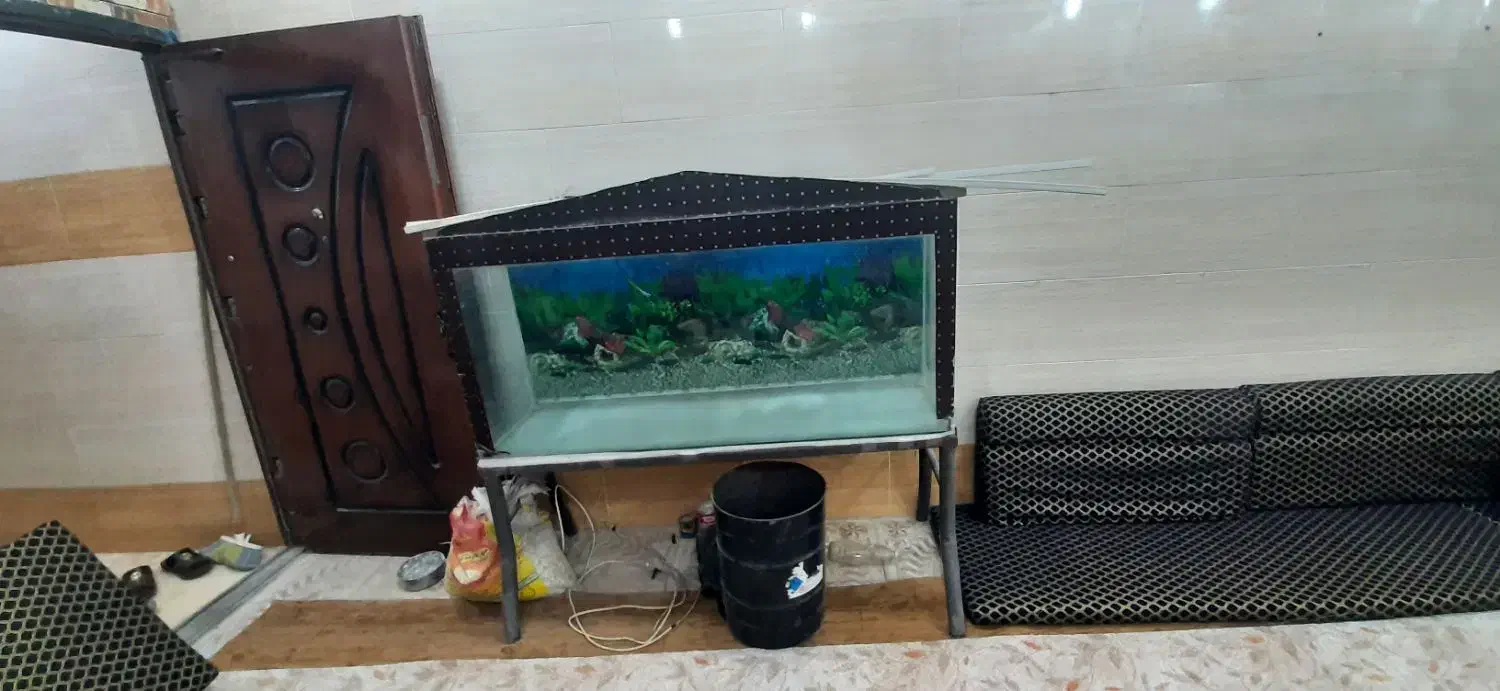 آکواریوم شیشه ۱۰ میل|ماهی|اهواز, ملاشیه|دیوار