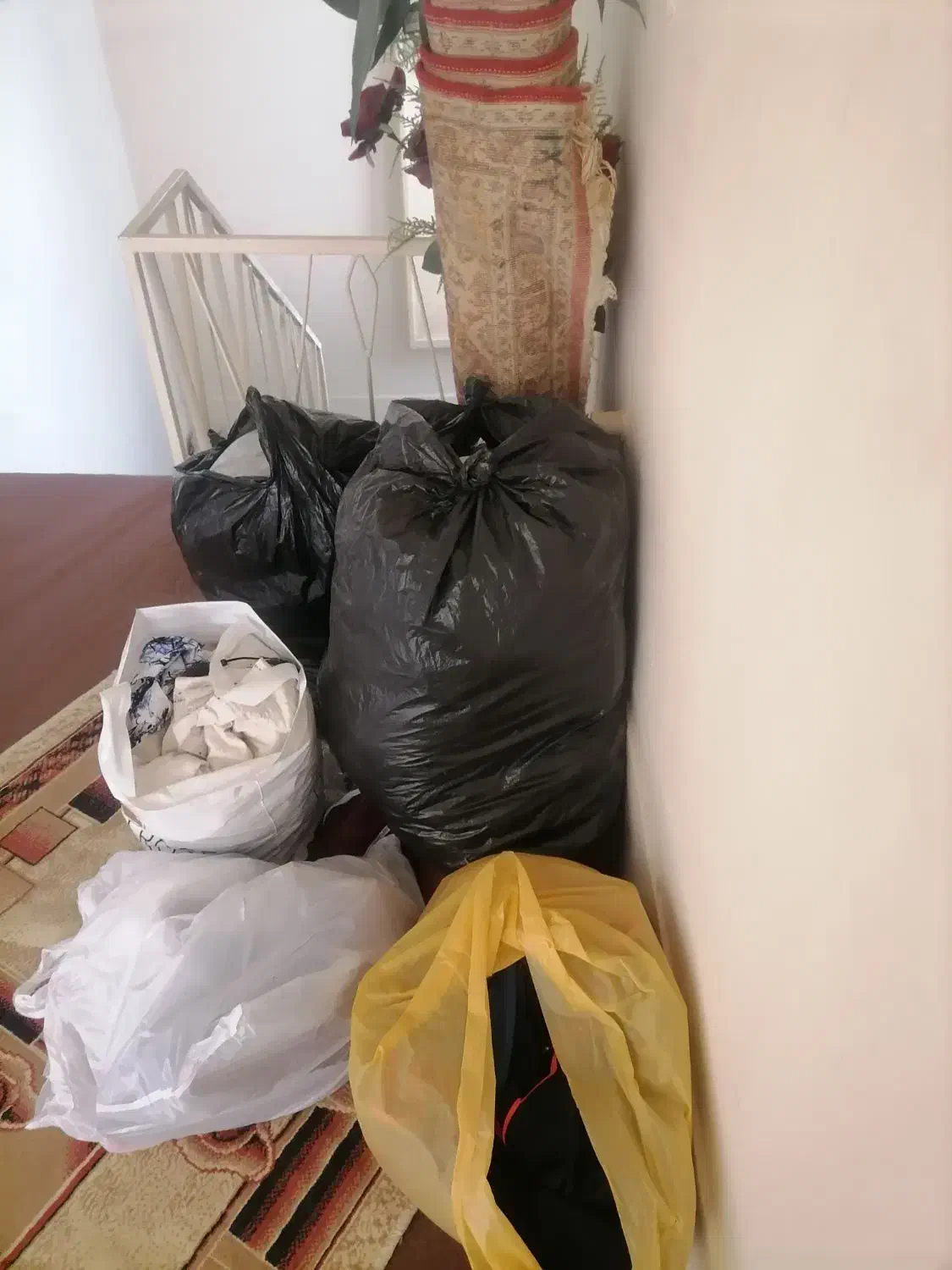لباس دست دوم کارکرده|لباس|شیراز, اصلاح‌نژاد|دیوار