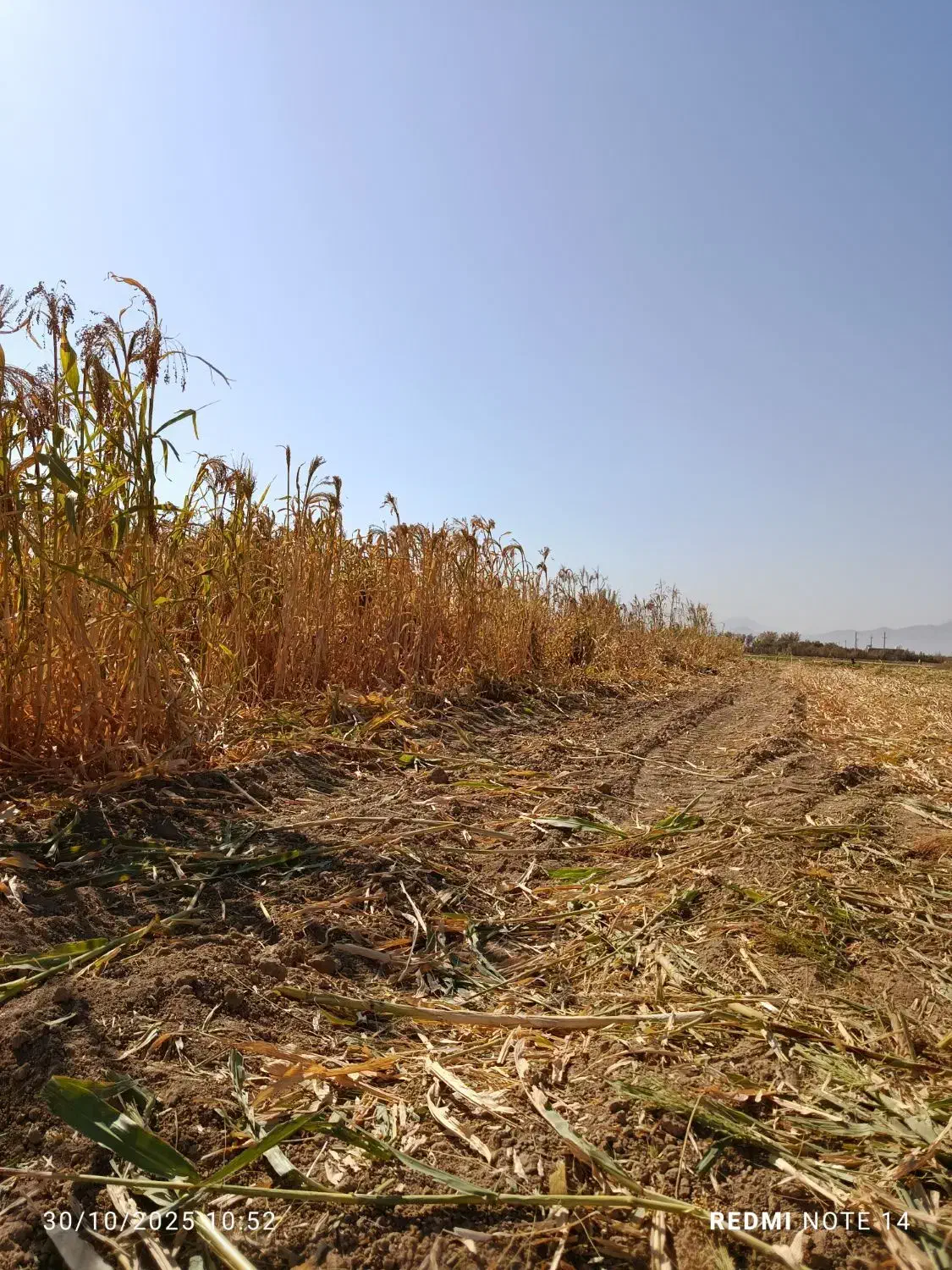 جارو|لوازم نظافت|اراک, |دیوار