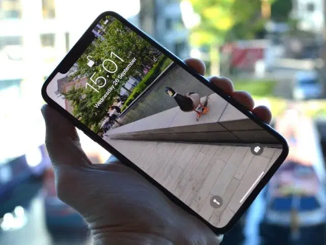 Xs Max|موبایل|بانه, |دیوار