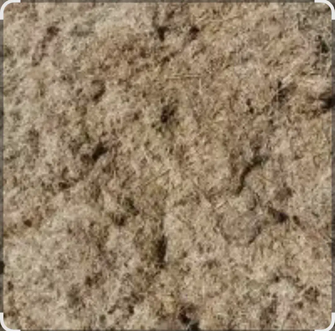 کاه یا سامان کهنه|لوازم جانبی حیوانات|صومای برادوست, |دیوار