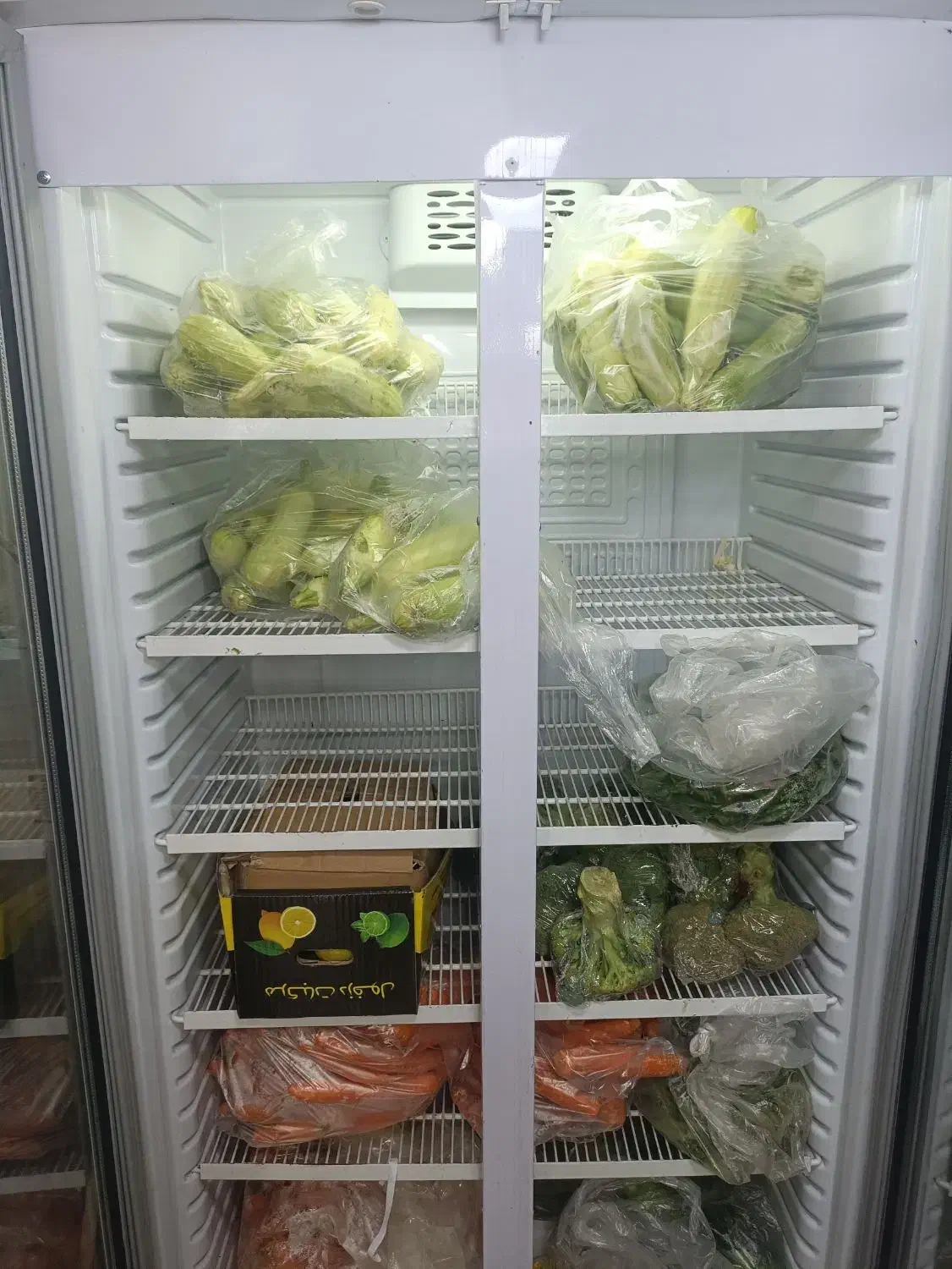 یخچال مغازه ایستاده|فروشگاه و مغازه|قم, شهرک مهدیه (مدرس)|دیوار