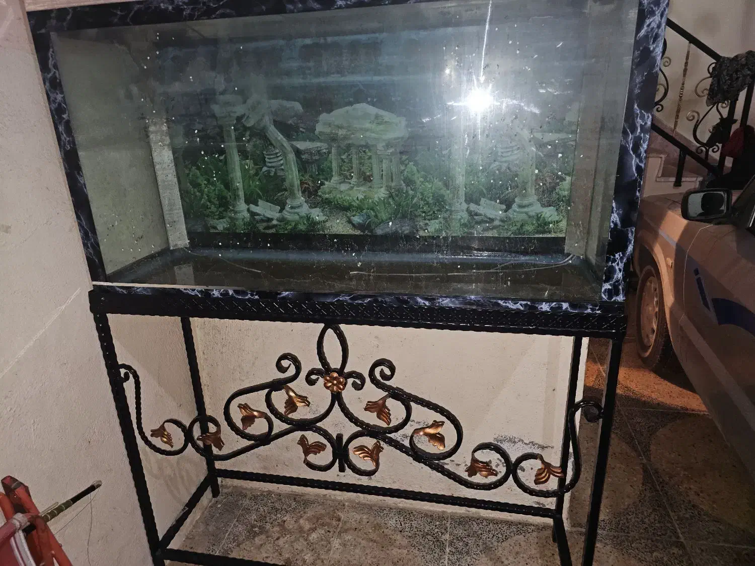 اکواریوم ماهی با پایه|ماهی|بابلسر, |دیوار