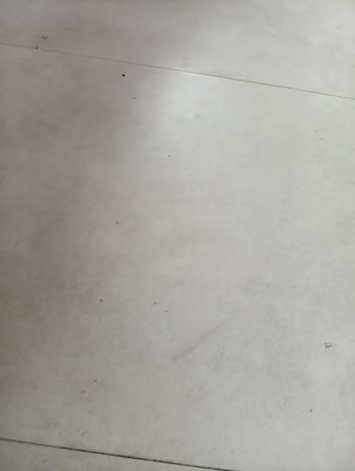 رهن و اجاره مغازه در بلوار نواب صفوی بر اصلی|اجارهٔ مغازه و غرفه|شیراز, کوشک میدان|دیوار