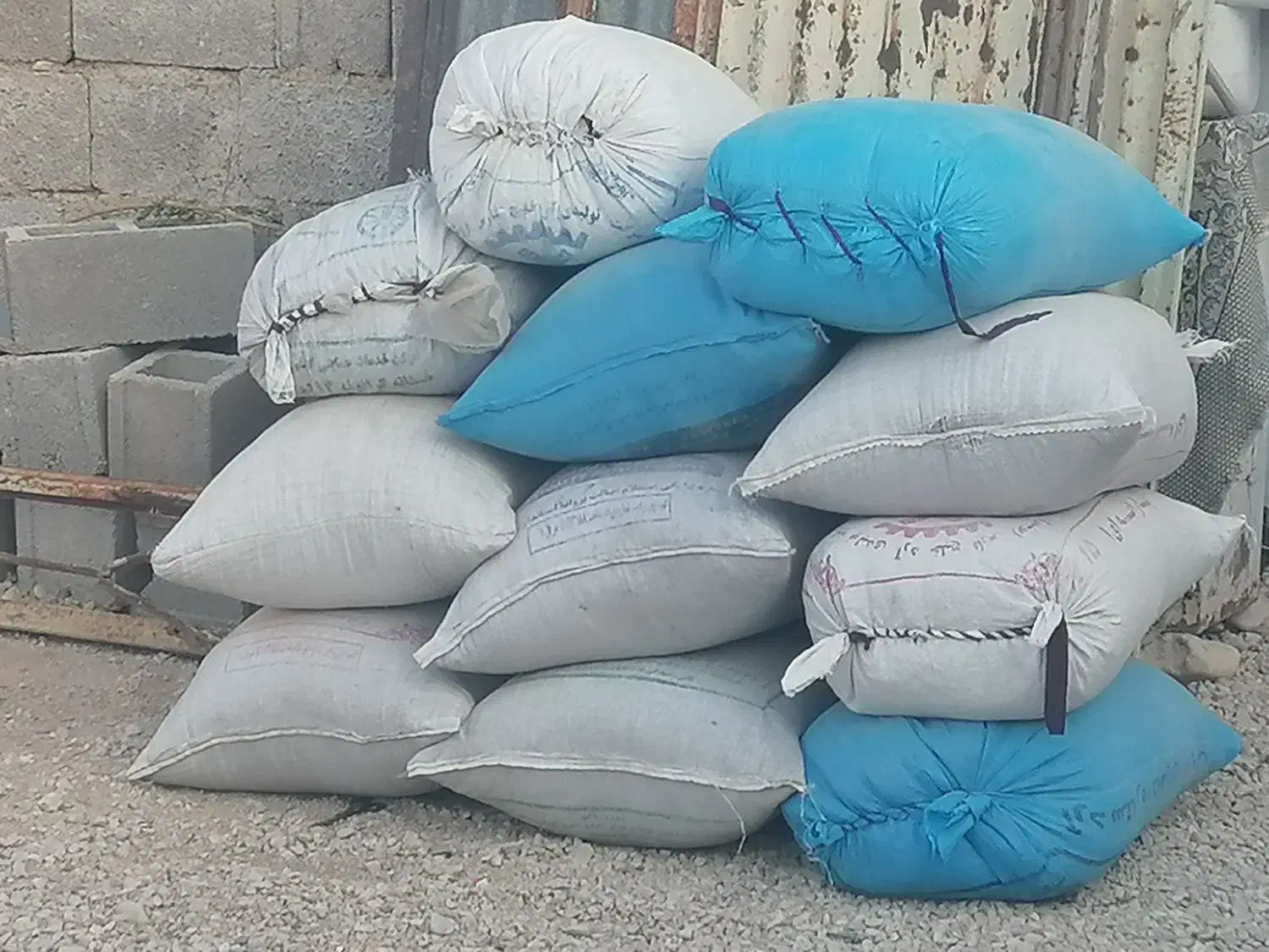 کاه یونجه وگندم فروشی|حیوانات مزرعه|شنبه و طسوج, |دیوار