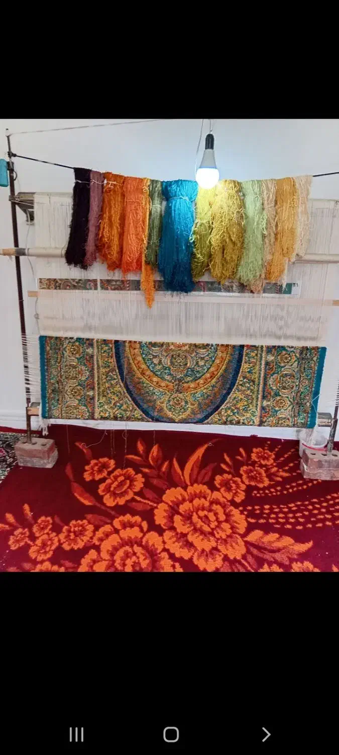 فروشی|فرش|بناب, |دیوار