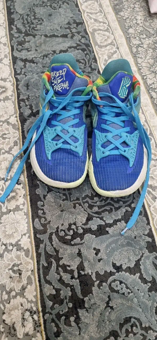 عقث|کیف، کفش، کمربند|تایباد, |دیوار