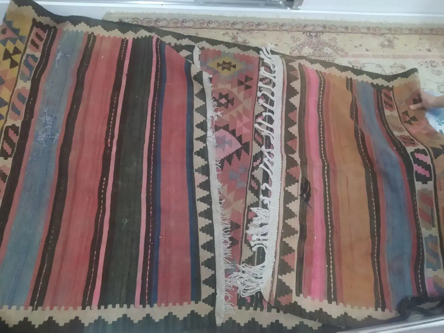 گلیم ۶۰ساله|گلیم، جاجیم، گبه|تبریز, |دیوار