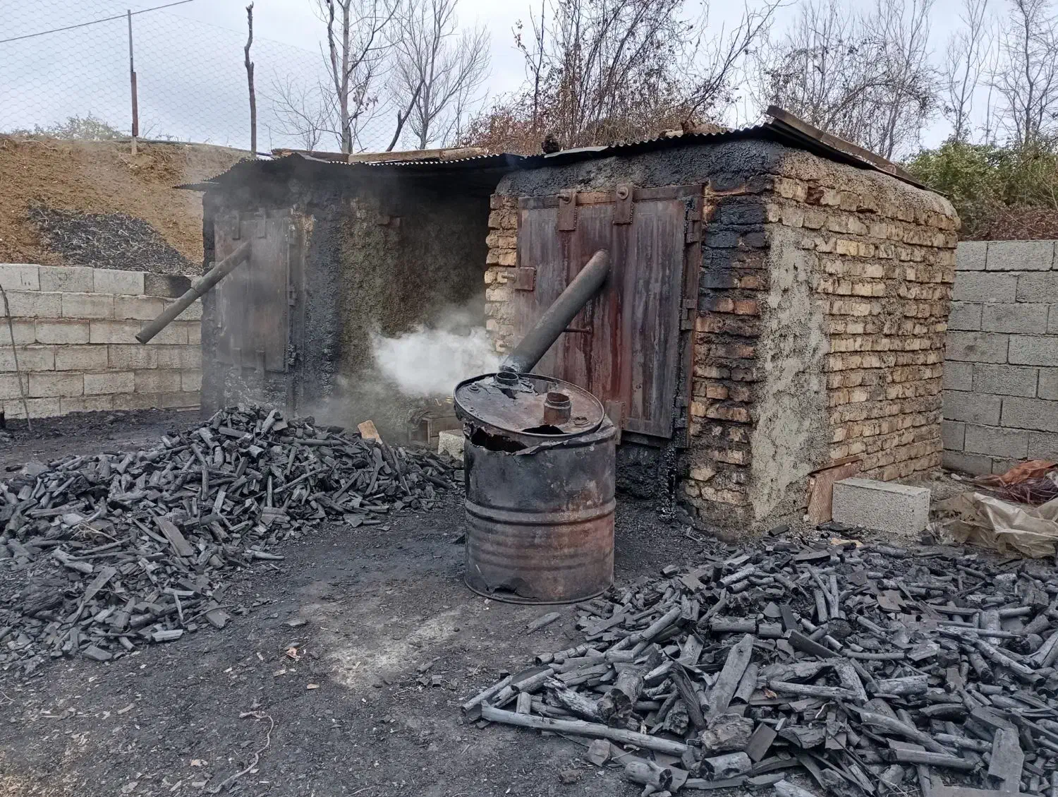 خرید انواع چوب ذغال|خدمات باغبانی و درختکاری|رضوانشهر, |دیوار