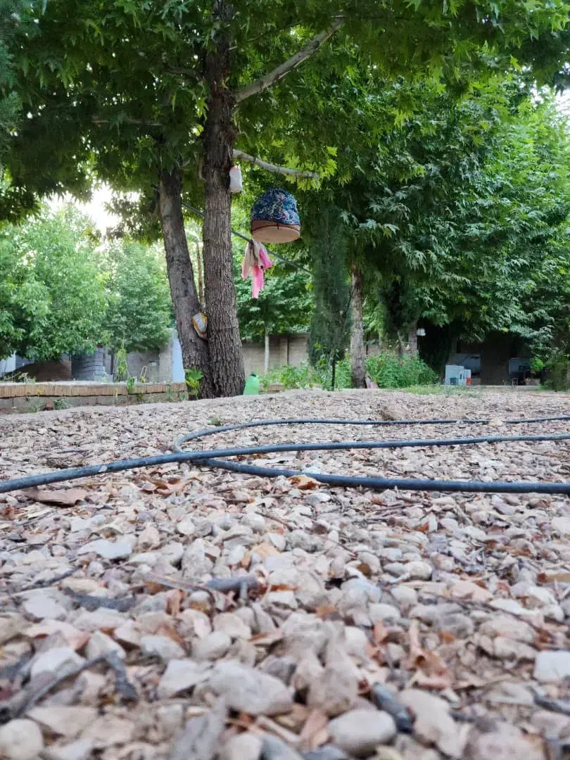 فروش یا تهاتر باغشهری گودگویم|فروش خانه و ویلا|شیراز, گویم|دیوار