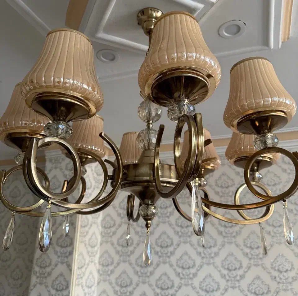 لوستر ۸ شاخه نونو|لوستر و چراغ آویز|کرج, حیدرآباد|دیوار