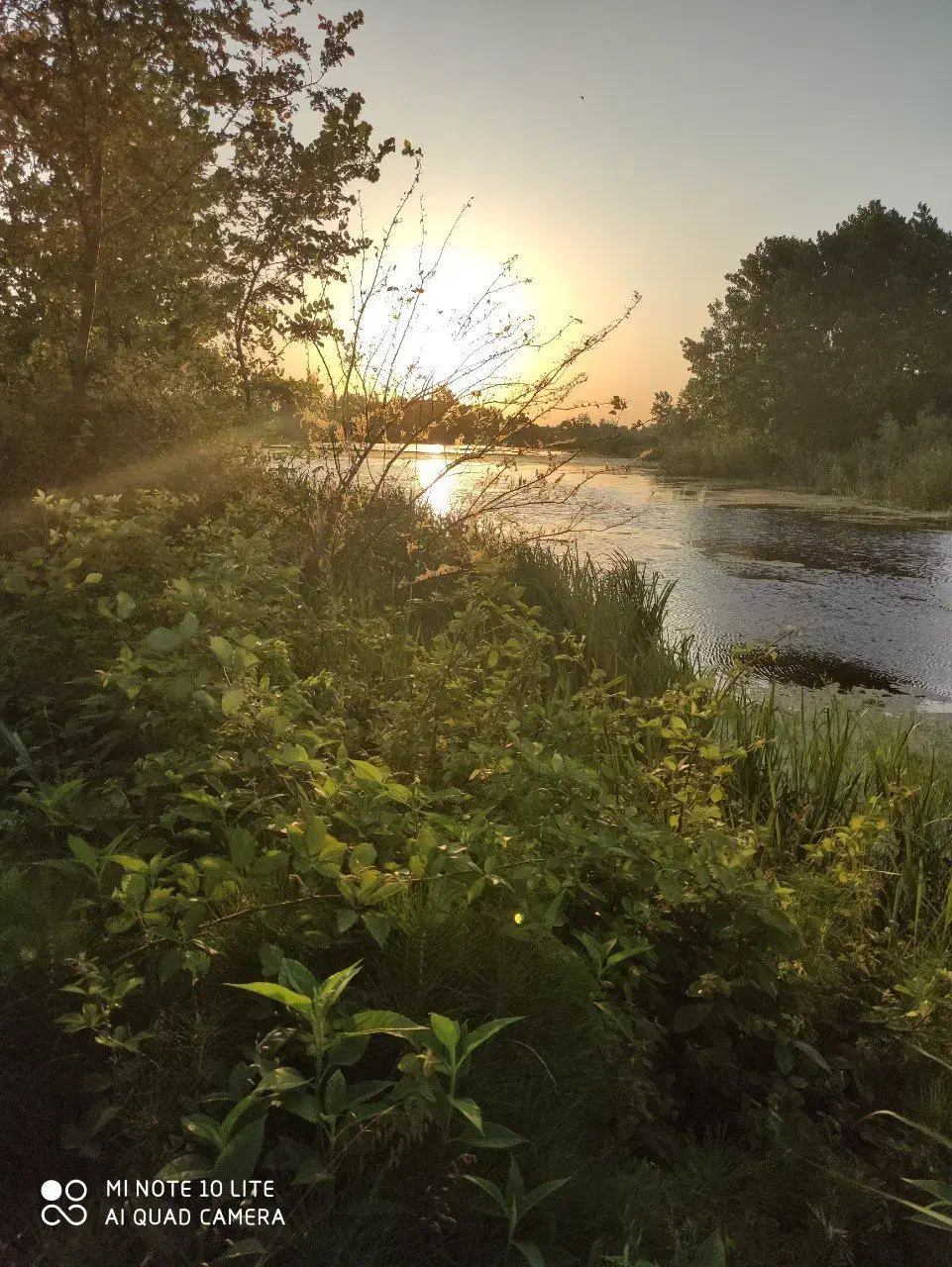 زمین با جواز ساخت با چشم انداز تالاب و باغات چای|فروش زمین و ملک کلنگی|آستانه اشرفیه, |دیوار
