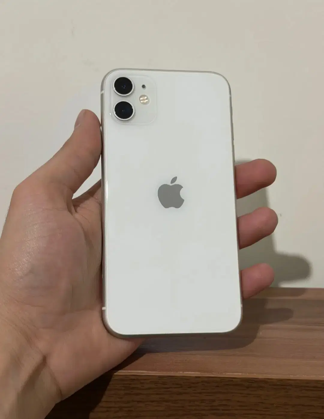 iphone 11 normal|موبایل|مشهد, حسین‌آباد|دیوار