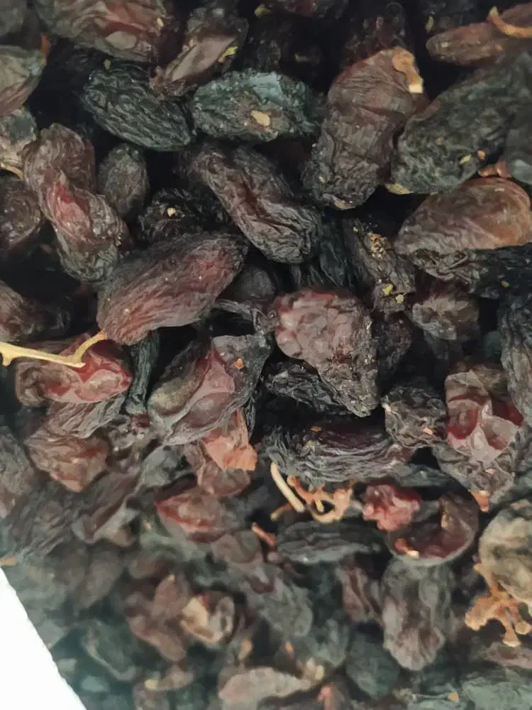 کشمش خوراکی و ضایعات|خوردنی و آشامیدنی|ساوه, |دیوار