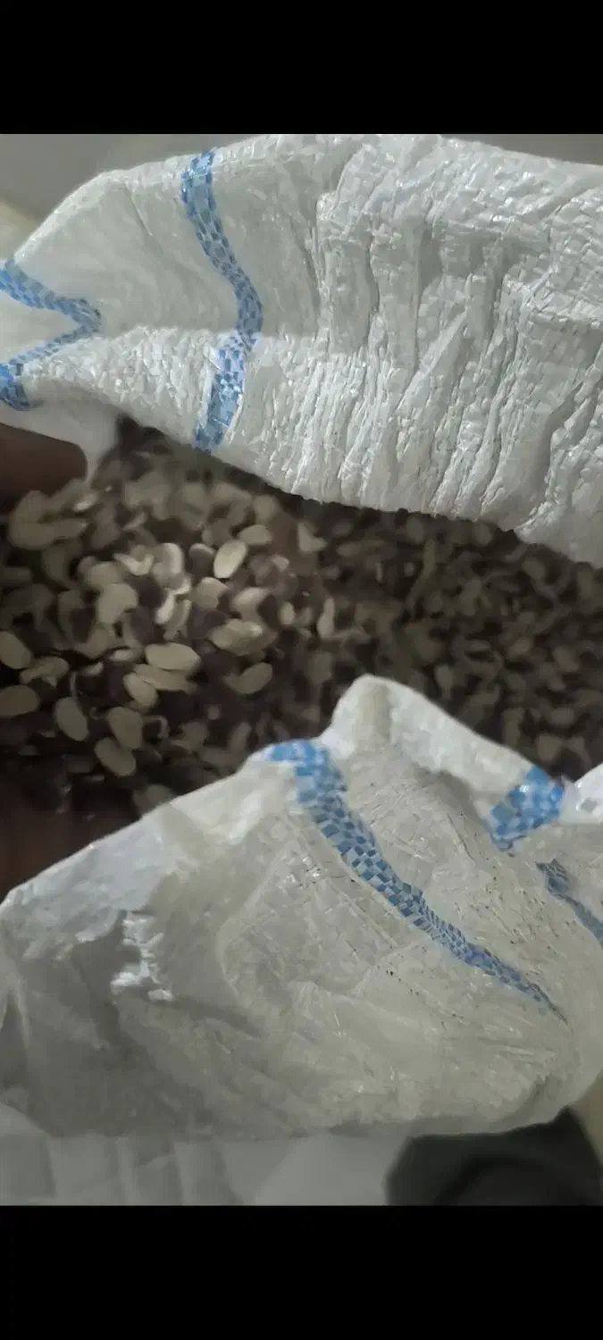 لوبیا لپه|خوردنی و آشامیدنی|سیدان, |دیوار