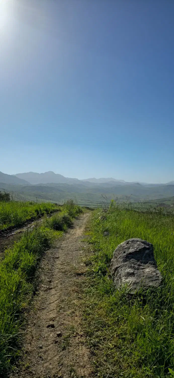 راهنمای وام|فعالیت داوطلبانه تحقیقاتی|کامیاران, |دیوار