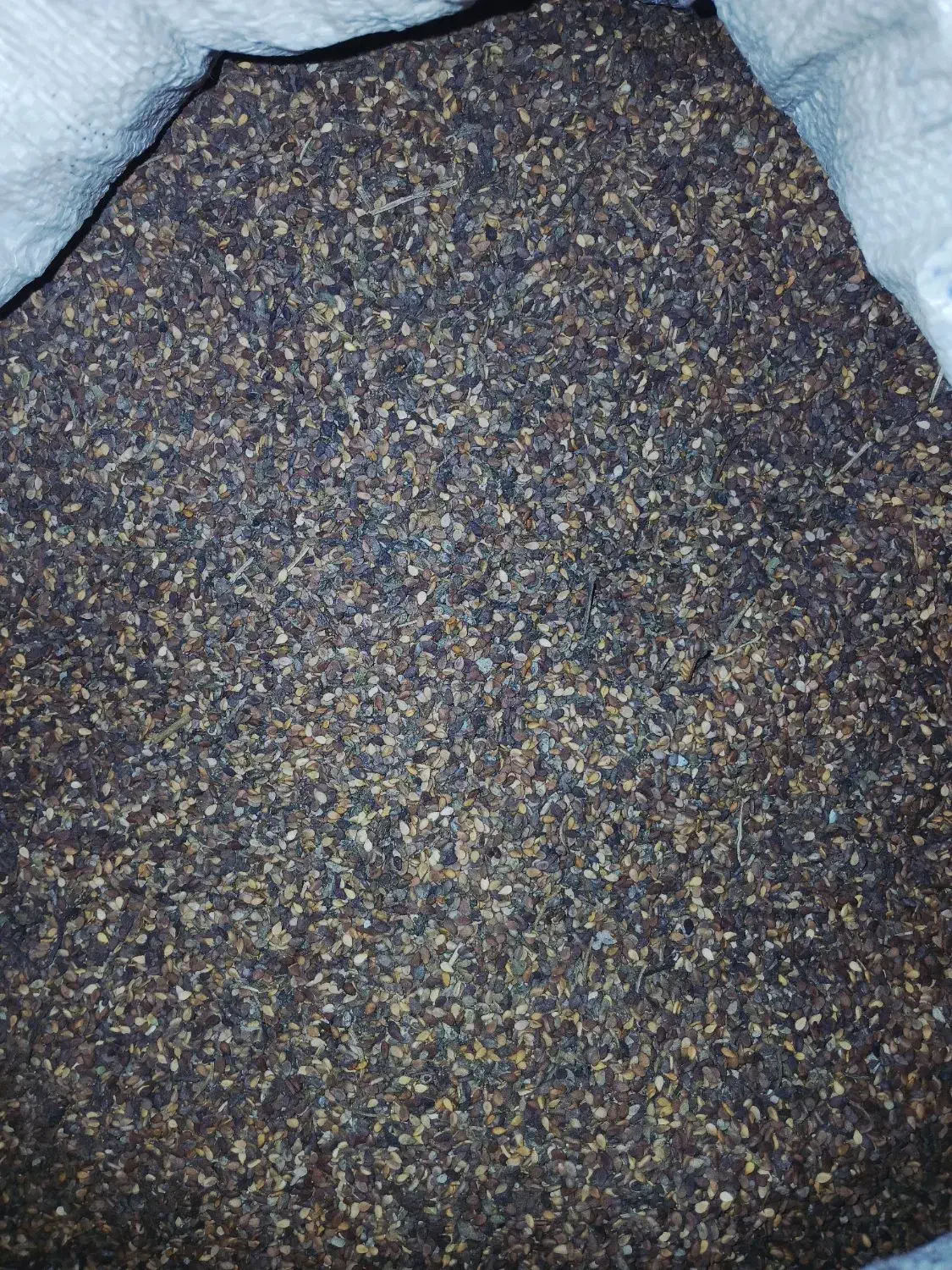 کنجد|عمده‌فروشی|کهنوج, |دیوار