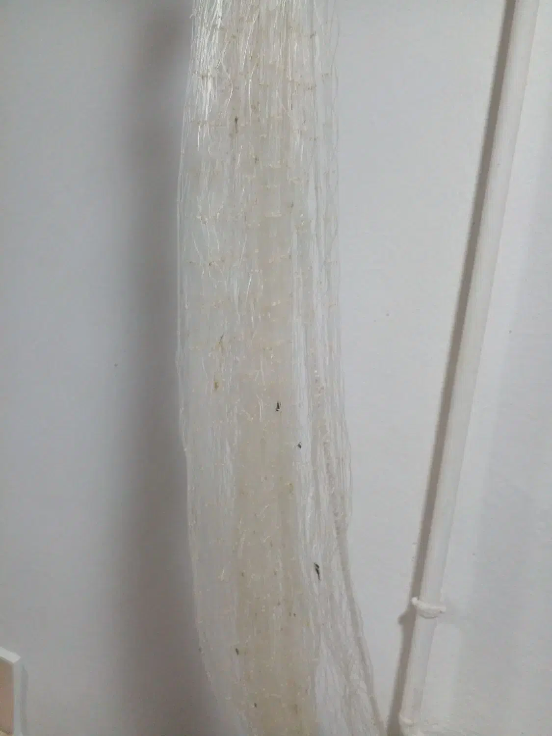 لوازم صیادی|ماهیگیری|تالش, هشتپر|دیوار