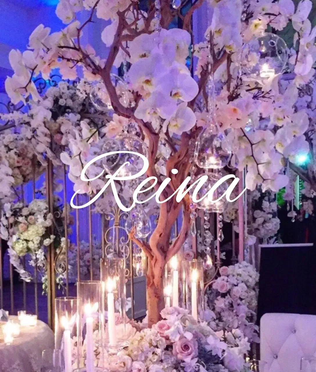 باغ تالار عروسی تشریفات کنسلی ورودیه رایگان|خدمات پذیرایی، مراسم|تهران, دریا|دیوار