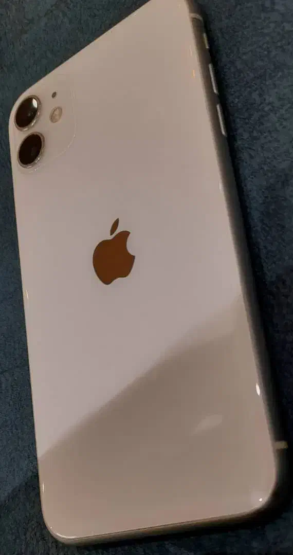 آیفون ۱۱ تمیز|موبایل|یزد, |دیوار