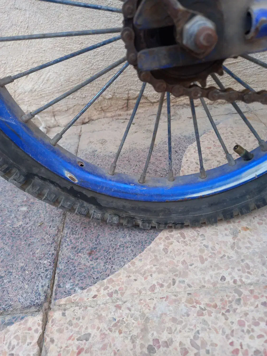 دوچرخه 16|دوچرخه، اسکیت، اسکوتر|برازجان, |دیوار