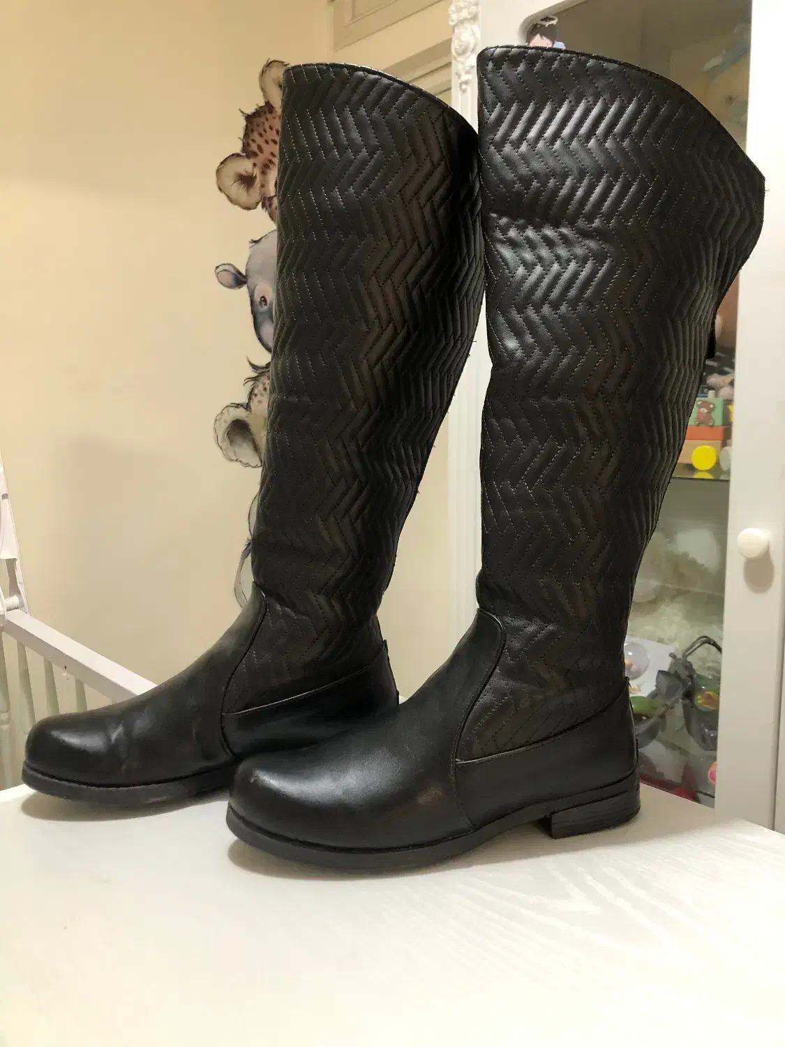 پوتین|کیف، کفش، کمربند|محمدیه-قزوین, |دیوار